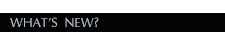 What's New?